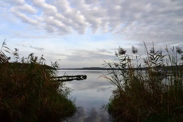 多云的日子里 一条被青草环绕的河流的风景画 — 图库照片
