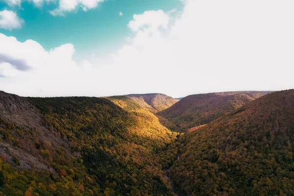 静かな秋の日に黄色の森の山に沿って流れる小川の空中ショット — ストック写真
