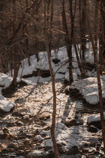 Beautiful View Stream Surrounded Snowy Rocks Young Trees Upstate New — Stock Photo, Image