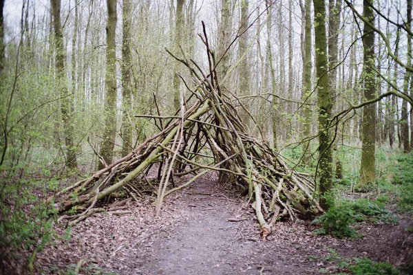 Tipi Fait Bâtons Dans Forêt — Photo