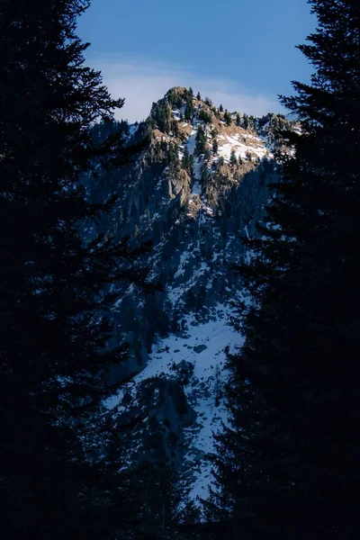 Svislý Letecký Pohled Zasněžené Skalnaté Alpy Stromů — Stock fotografie
