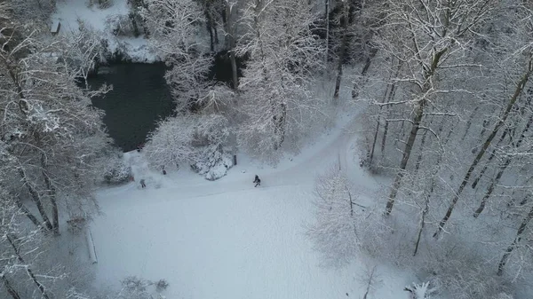 凍った川の空中ショットと雪に覆われた凍った森を歩く人 — ストック写真