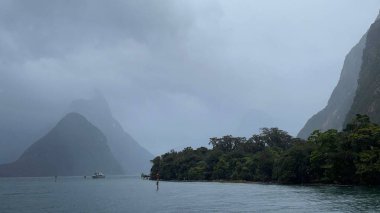 Deniz manzaralı, bulutlu ve sisli arka planlı Fiordland Ulusal Parkı
