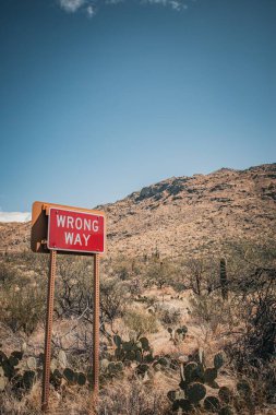 Ters yönde kırmızı bir ağacın dikey görüntüsü Tucson Arizona 'da bir çöl tabelalı.