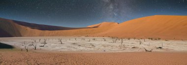 Namibya, Namib çölündeki Ölü Vadi, arka planda kırmızı kumullar, gece