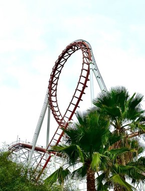 Bahçedeki palmiye ağaçlarının üzerinde açık gökyüzü olan yüksek bir Viper Coaster eğlencesi.