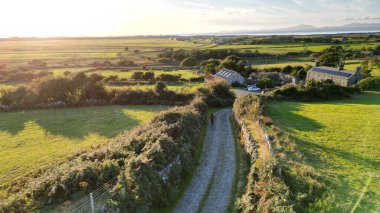 Güneşli bir yaz gününde kırsal bir yol
