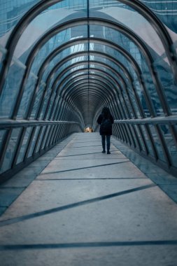 Japonya Köprüsü, Paris, Fransa 'da tek başına yürüyen bir kadın.