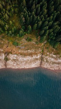 Gündüz vakti, sık ormanlı, yeşil ağaçlı gölün kenarından bir manzara.