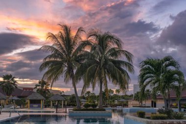 Küba, Varadero 'da bir otelde palmiye ağaçlarıyla çevrili açık havada yüzme havuzu.