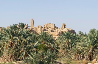 Mısır 'da kayalık dağlar ve palmiye ağaçları olan Siwa Oasis' teki antik tapınağın manzarası.