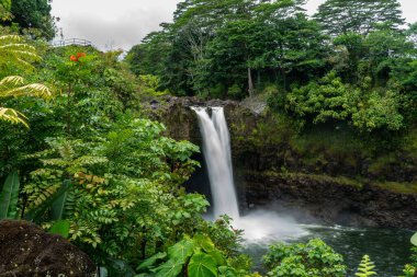 Yoğun ağaçlarla çevrili kayalardan akan bir şelale.
