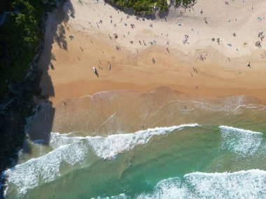 Sydney, Avustralya 'da bulunan Tatlı Su Sahili' nin insansız hava aracı görüntüsü..