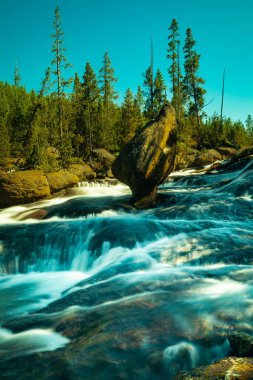 Yellowstone Parkı 'ndaki sakin Gibbon Nehri' nin manzarası. Ağaç ağaçları, dikey çekim.