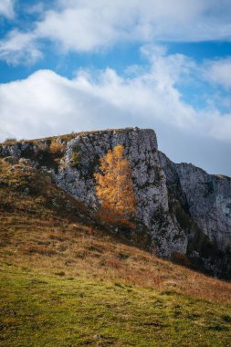 Güneşli bir günde yeşil çimlerle kaplı bir tepenin dikey görüntüsü.