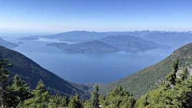 BC, Kanada 'daki dağların yakınındaki güzel bir ormanın havadan görüntüsü.