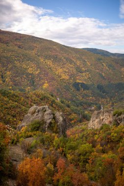 Mavi gökyüzünün altındaki dağlık manzaranın güzel bir manzarası.