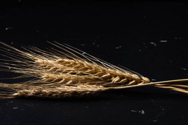 Siyah arka plandaki buğday kulakları - fırın için tahıllar, un üretimi