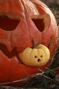 Ormanda bir Cadılar Bayramı balkabağının yakın çekimi.