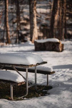 New York, Utica 'da soğuk bir kış günü kar kaplı ahşap banklar ve masalarla dolu güzel bir park.