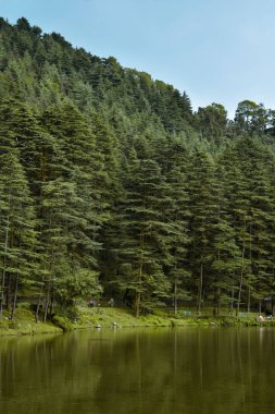 Yeşil gölü yansıtan çağlayan yeşil ağaçlar, dikey çekim
