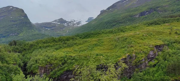 Montagne Con Alberi Norvegia — Foto Stock