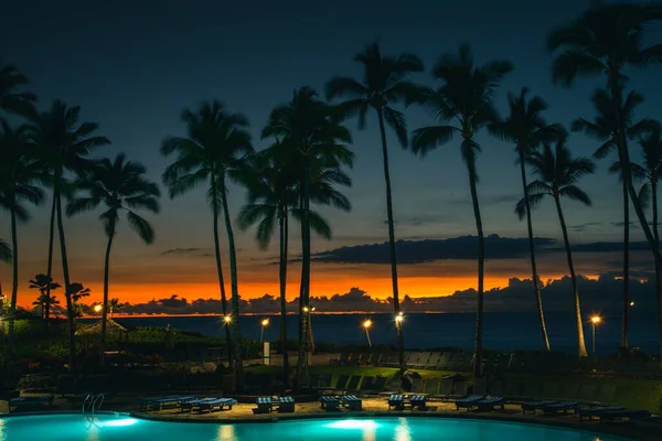 Ein Faszinierender Blick Auf Einen Von Palmen Umgebenen Swimmingpool Während — Stockfoto