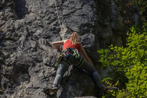 Das Mädchen Klettert Eine Klippe Hinauf Klettern Sportkonzept — Stockfoto