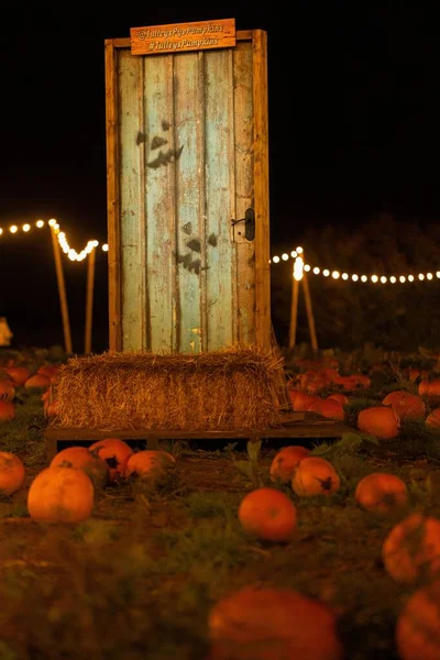 Eine Vertikale Aufnahme Einer Halloween Kulisse Mit Kürbissen — Stockfoto
