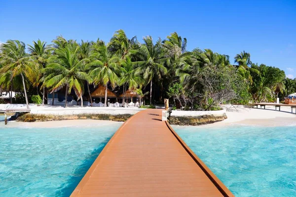 Maldivler Deki Thulhagiri Adası Tatil Köyünün Arka Planında Mavi Palmiye — Stok fotoğraf