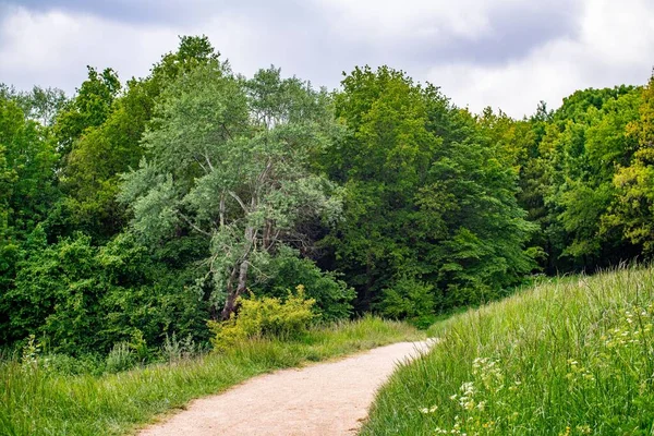 Camino Que Conduce Bosque Durante Verano —  Fotos de Stock