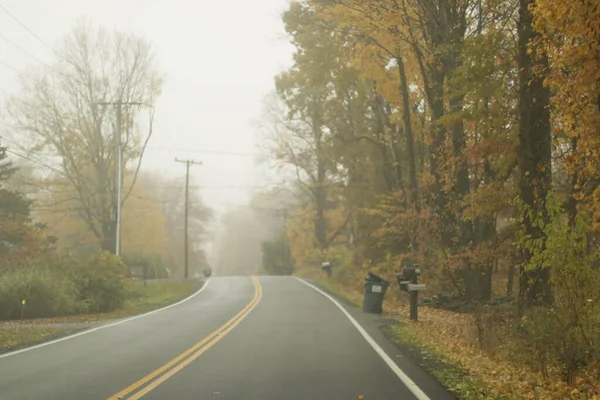Camino Rural Junto Los Árboles Amarillos Otoño Día Neblinoso —  Fotos de Stock