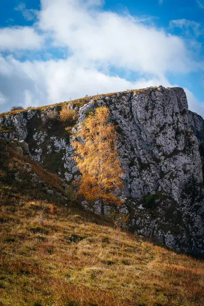 Romanya Bulutlu Bir Günde Yeşil Çimlerle Kaplı Bir Tepenin Dikey — Stok fotoğraf