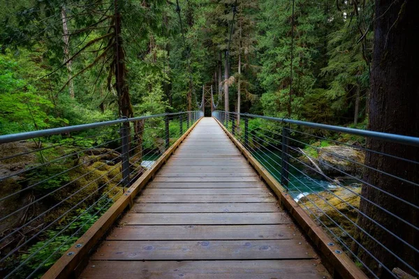 Uma Bela Vista Uma Ponte Florestal Noroeste Pacífico — Fotografia de Stock