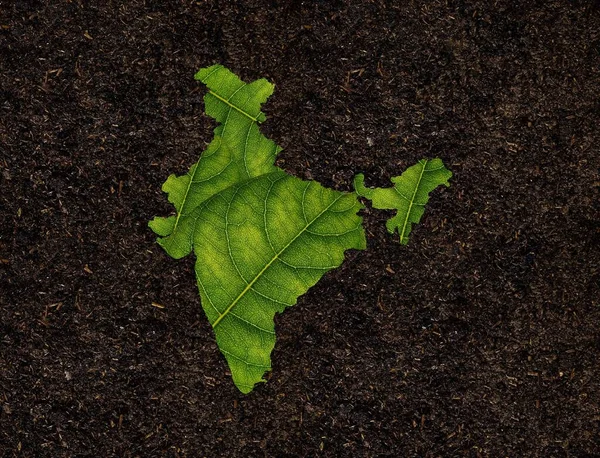 India Map Made Green Leaves Soil Background Ecology Concept — Stock Photo, Image