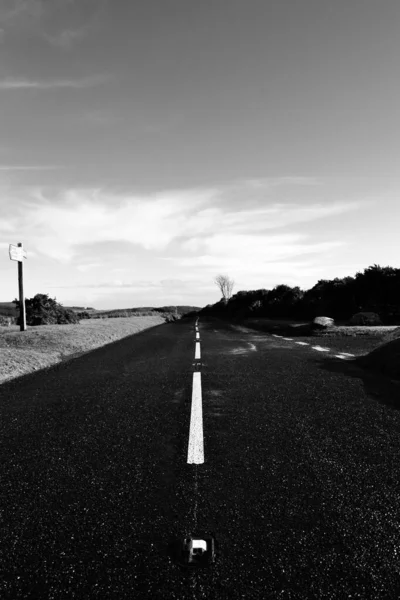 Vertical Grayscale Long Empty Highway Alongside Trees Field Daytime — Stock Photo, Image