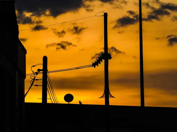電信柱のシルエットに美しい黄金の夕日の空 — ストック写真