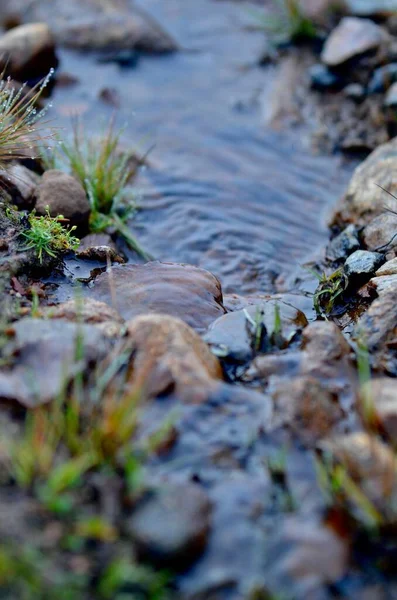 Eine Nahaufnahme Der Flusssteine — Stockfoto