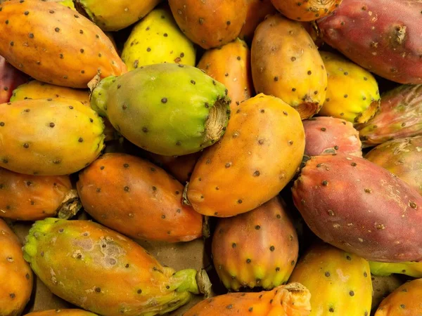 Closeup Shot Exotic Prickly Pear Fruits — Stock Photo, Image
