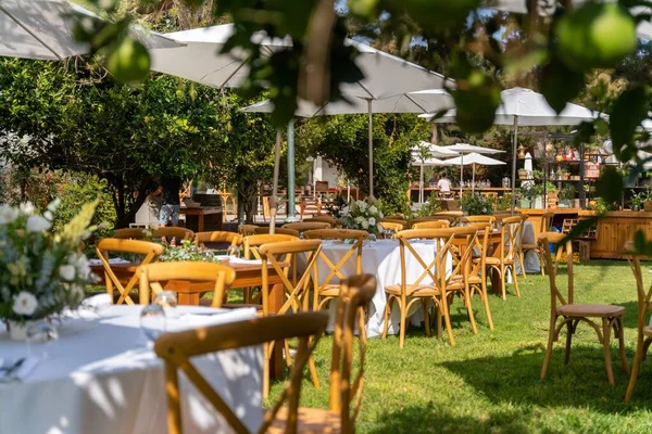 stock image The natural decoration of the outdoor terrace of the restaurant