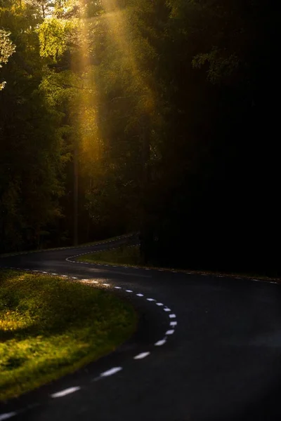 Tiro Vertical Uma Luz Sol Caindo Uma Estrada Curva Cercada — Fotografia de Stock