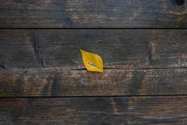 Ovanifrån Ett Enda Gult Löv Som Ligger Trägolvet — Stockfoto