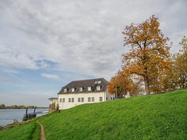 Beautiful Shot Building Green Field Background Rhine River Dusseldorf — Stock Photo, Image