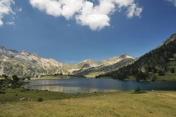 カタロニアピレネー山脈の緑の木々や山々に囲まれた穏やかな湖の美しい景色 — ストック写真
