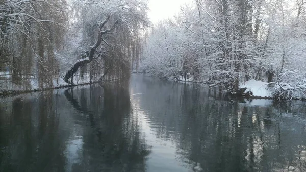 Karlı Ağaçlarla Çevrili Güzel Bir Göl Kış Günü Sudaki Işığın — Stok fotoğraf