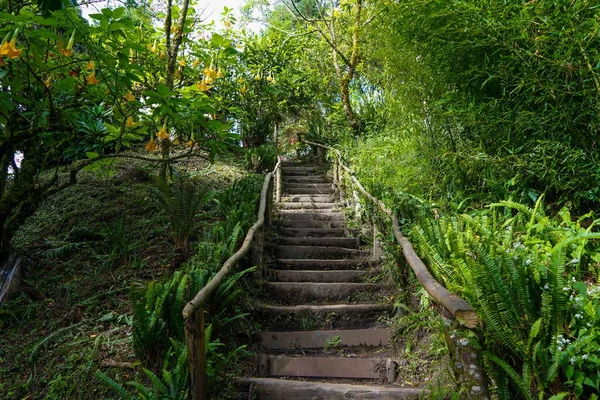 Boqueron Volcano Park Has Types Stairs Lead You Forest — Stock Photo, Image
