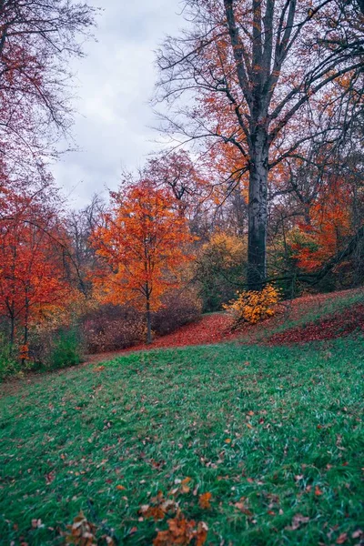 公園の美しい秋の垂直ショット — ストック写真