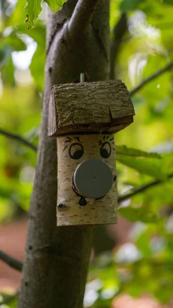 Vertical Closeup Birdhouse Green Tree Log — Stock Photo, Image