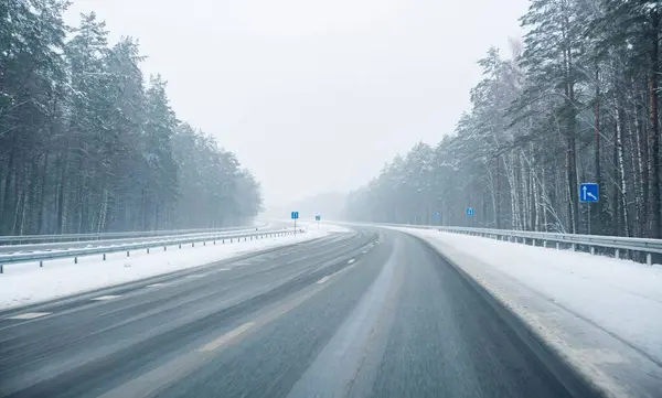 Snöig Väg Genom Snöiga Träd Dyster Dag Tom Och Dimmig — Stockfoto
