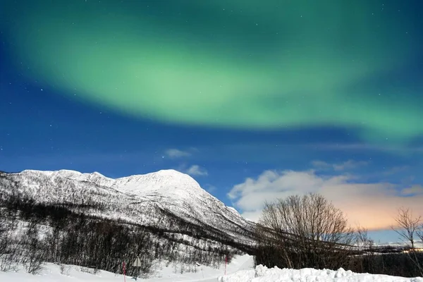 Vacker Utsikt Över Norrsken Över Snöiga Berg Med Träd — Stockfoto